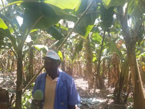 Muhanga: Guhinga urutoki byabahinduriye ubuzima kubera Paul Kagame