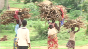 Rukomo: Abaturage bahangayikishijwe no kubona ibicanwa