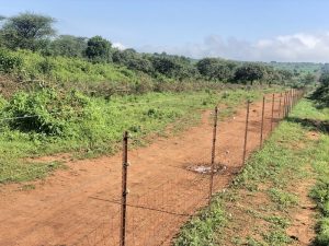 Kayonza: Ndego barashimira FPR- Inkotanyi yazitiye Pariki y’Akagera