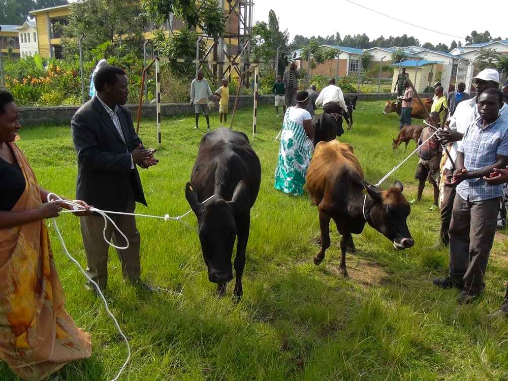 Nzabarantumye arishimira ibyo yagejejweho  na Girinka Munyarwanda