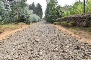 Musanze: Abaturage bishimiye intsinzi ya Kagame banamusaba kububakira umuhanda