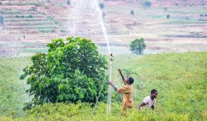 U Rwanda ruzakira inama ku ikoranabuhanga mu buhinzi rihangana n’imihindagurikire y’ibihe