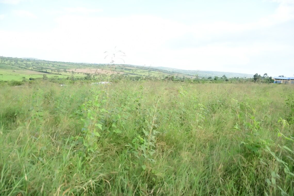 Kuvugurura ubworozi byamukuye ku nka ikamwa litiro 5 agera kuri 23