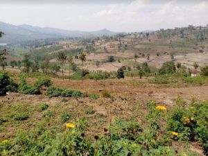 Icyo Leta igiye gukorera abatarandikishije ubutaka miliyoni 1,4 mu gihugu hose