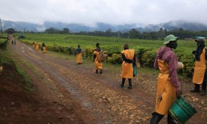U Rwanda rukenera miliyari 4.479 Frw buri mwaka yo kuzahura ubukungu &nbsp;