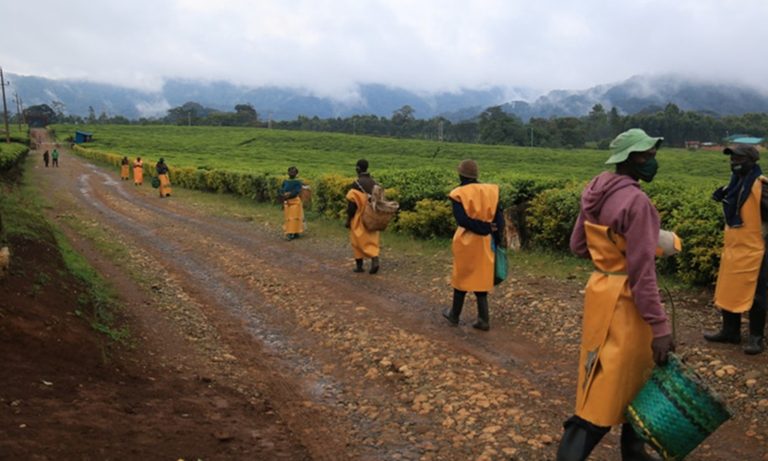 U Rwanda rukenera miliyari 4.479 Frw buri mwaka yo kuzahura ubukungu &nbsp;