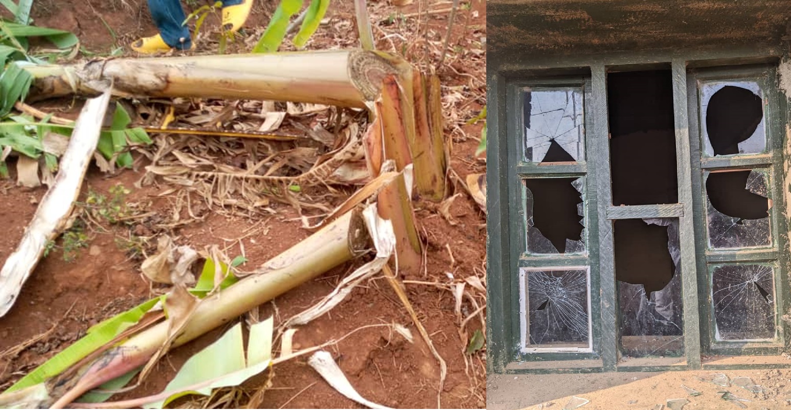 Nyamasheke: Bamutemaguriye insina 102 bamenagura n’ibirahure by’inzu ye