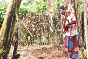 Burera: Batewe inkeke no gutura mu Murenge utagira abacuruzi b’ifumbire