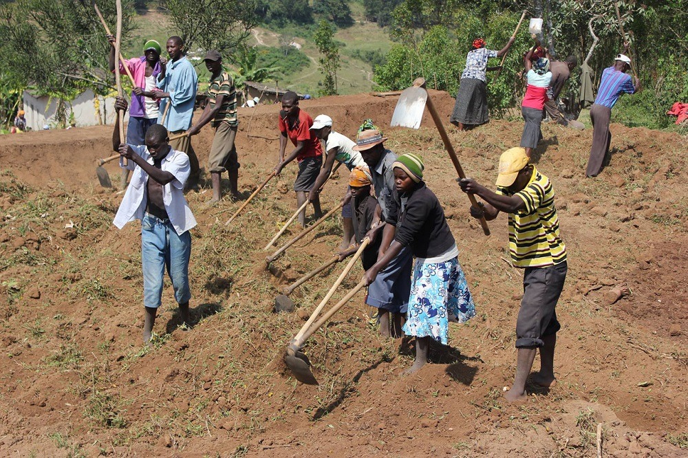 70% by’umusaruro w’ubuhinzi mu Rwanda uboneka mu Muhindo