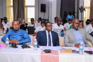 Miliyari zisaga 132 Frw zizashorwa mu guteza imbere ubworozi bw’inka z’umukamo