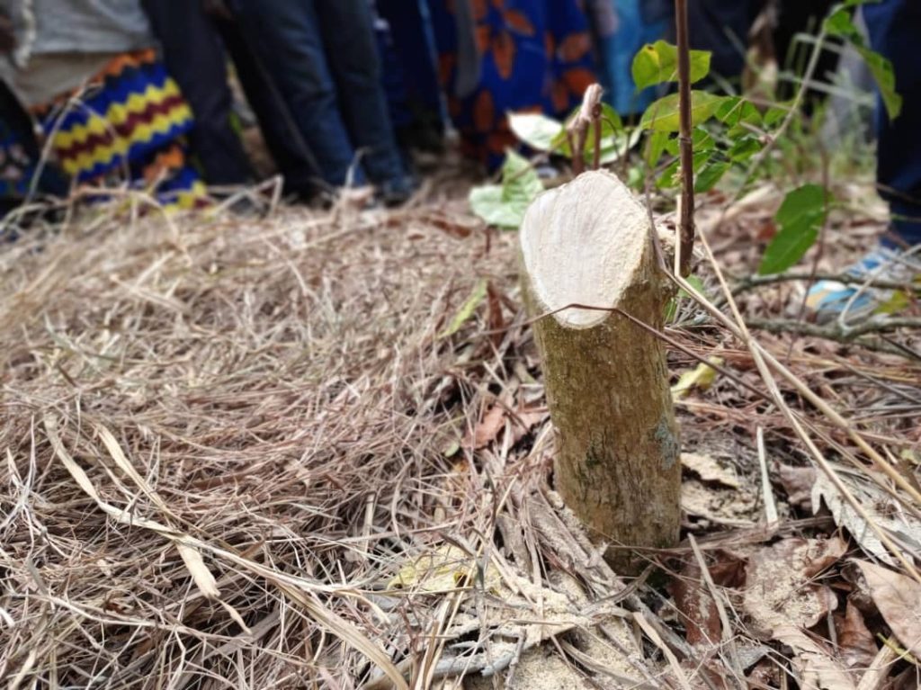 Ikawa imaze gusarurwaho inshuro 8 iba ishaje ni iyo gusazurwa-NAEB