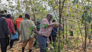 U Rwanda rurashaka gukuba 3 umusaruro w’ikawa rweza