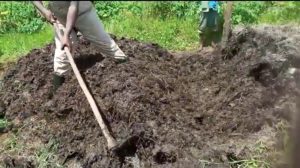 Kayonza: Abahinzi baciye ukubiri no gutwika ibisigazwa by’ibyatsi