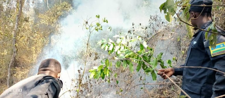 Nyamasheke: Hegitari n’igice za Pariki ya Nyungwe zafashwe n’inkongi y’umuriro