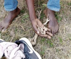 Muhanga: Yafatiwe mu cyuho afite urumogi aranga uwarumuhaga ngo arucuruze