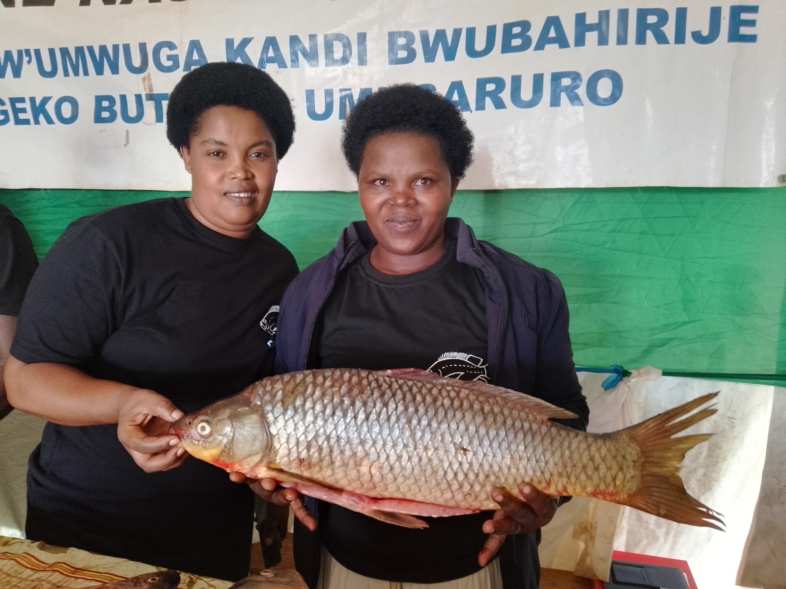 Kirehe: Uburobyi bugezweho bwabagejeje ku mutungo wa miliyoni 25 Frw