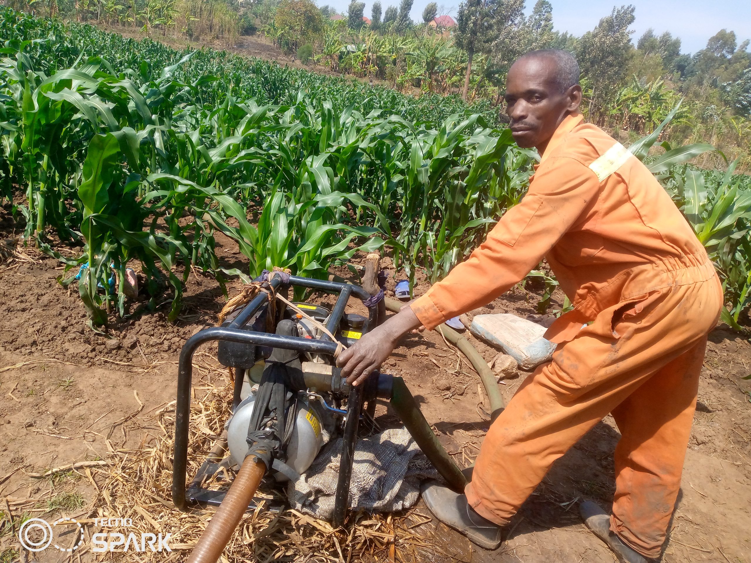 Karongi: Yatangije 4 000Frw mu buhinzi none yinjiza asaga miliyoni 4 Frw