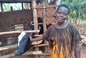 Ngoma: Iterambere babuze mu myaka 14 y’amakimbirane baribonye muri 3 bayaretse