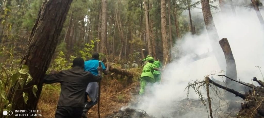 Nyamasheke: Yatawe muri yombi akekwaho gutwika hegitari 15 z’umukandara wa Nyungwe