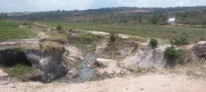 Ruhango: Kubera igishanga kidakoze mu gihe cy’imvura bagwa mu gihombo