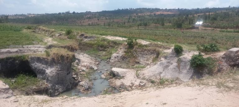Ruhango: Kubera igishanga kidakoze mu gihe cy’imvura bagwa mu gihombo