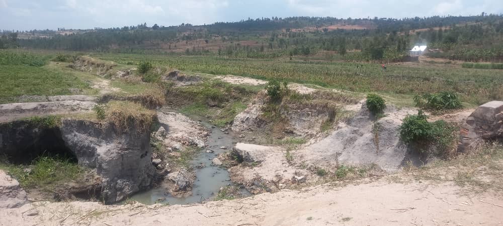 Ruhango: Kubera igishanga kidakoze mu gihe cy’imvura bagwa mu gihombo