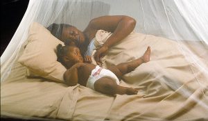 Mu Rwanda, Malaria yishe abantu 67 mu 2023