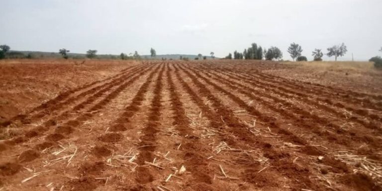 Sobanukirwa iby’ingenzi mu gutegura neza igihembwe cy’ihinga