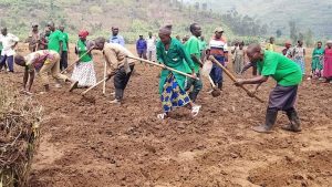 Ibihingwa byatoranyijwe bizahingwa kuri hegitari zisaga 800,000