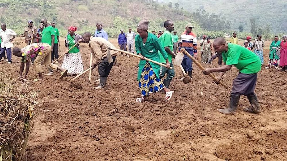 Ibihingwa byatoranyijwe bizahingwa kuri hegitari zisaga 800,000