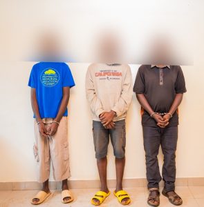 Nyagatare: Ku bufatanye bw’inzego z’umutekano n’abaturage hafashwe abiba amatungo basaga 40