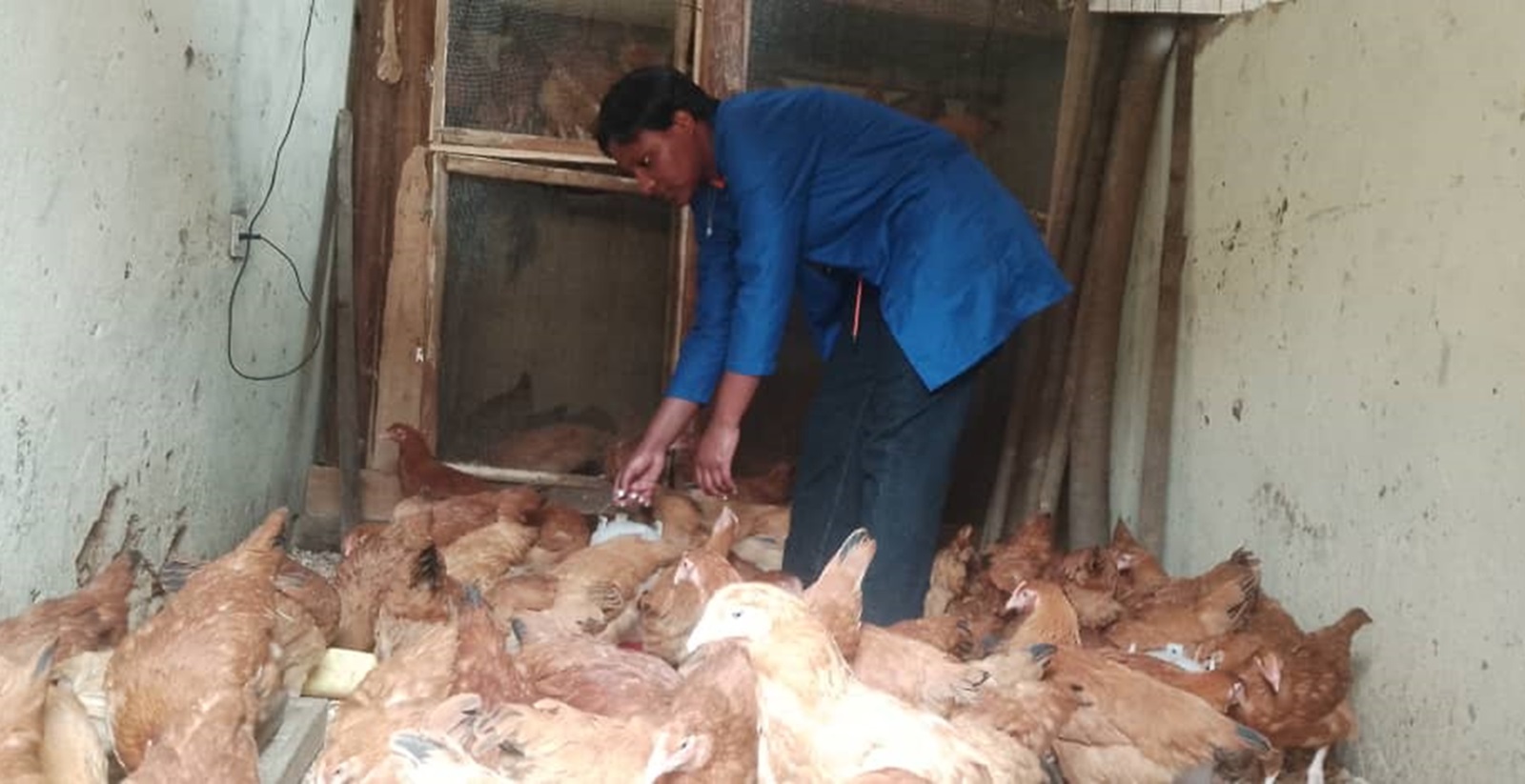 Nyamagabe: Ku myaka 19, Korora inkoko bimwinjiriza 350.000 Frw buri kwezi