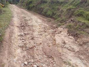 Rutsiro: Umuhanda w’ibinogo ugora ababyeyi bagahekwa mu ngobyi bifuza ko ukorwa