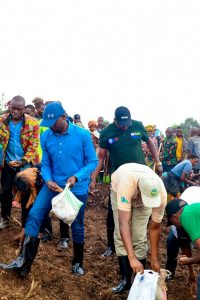 Muhanga: Abahinzi b’ibirayi barataka igihombo cya toni 1,2 by’imbuto