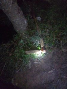 Rutsiro: Umugabo yicishije umugore we ifuni