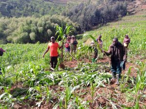 Rutsiro: Mudugudu n’undi muturage baranduriwe imyaka n’abataramenyekana