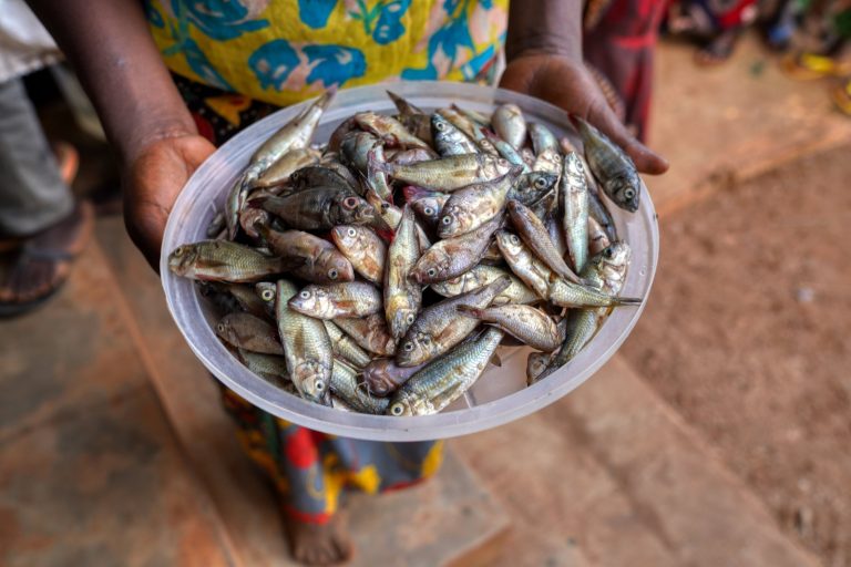 Rwamagana: Imiryango 100 yakuwe mu mirire mibi no kurya amafi mato yitwa indugu