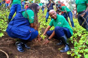 U Rwanda rwashoye miliyari 18 Frw gutera ibiti by’imbuto miliyoni 6