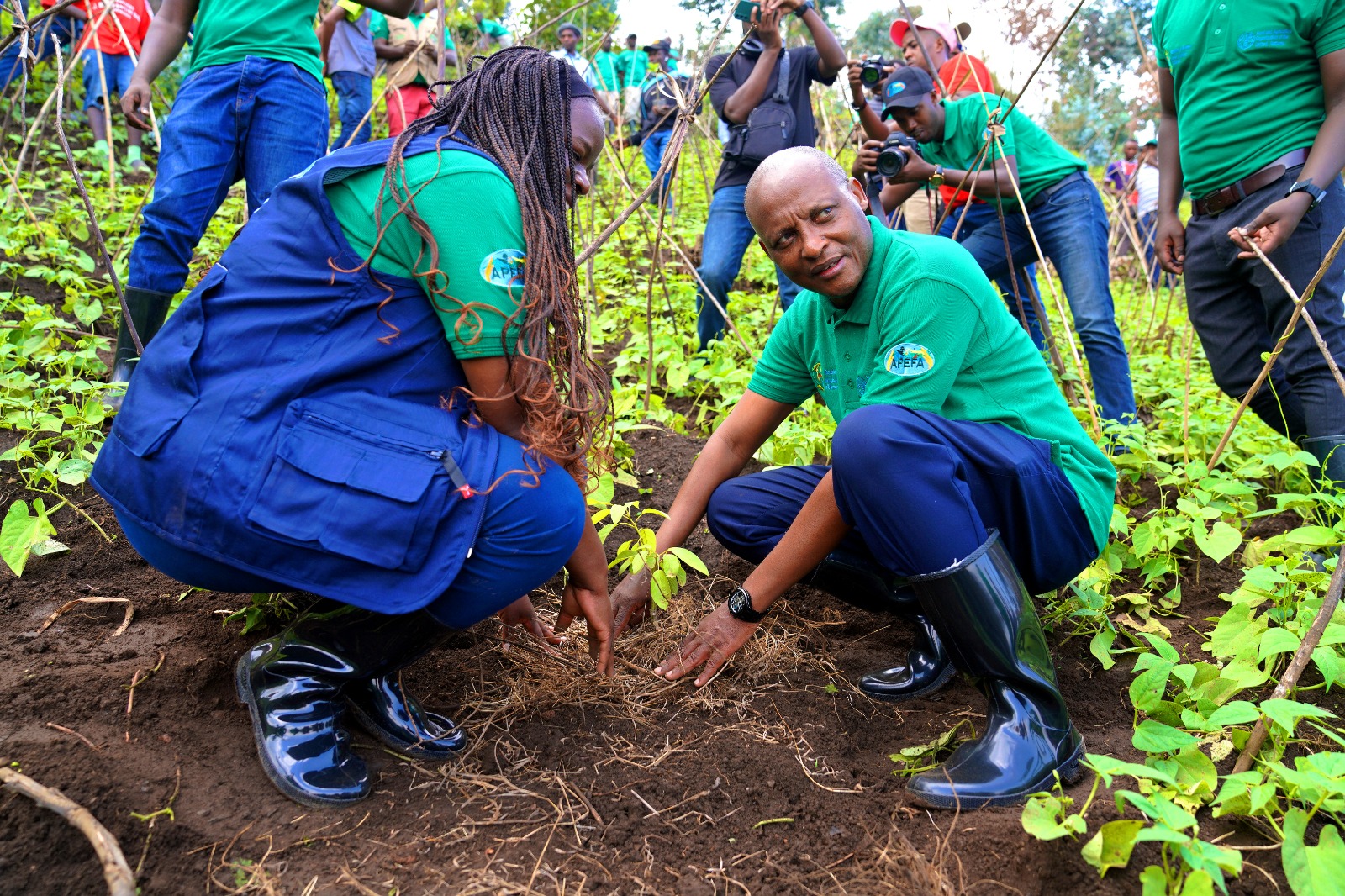 U Rwanda rwashoye miliyari 18 Frw gutera ibiti by’imbuto miliyoni 6