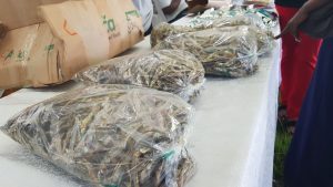 MINAGRI yasabye ab’Iburengerazuba kurwanya imirire mibi bihatira kurya amafi yo mu Kivu