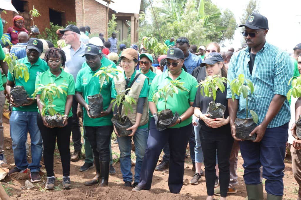 Buri wese ashishikarizwa gutera ibiti by’imbuto bikunganira imirire