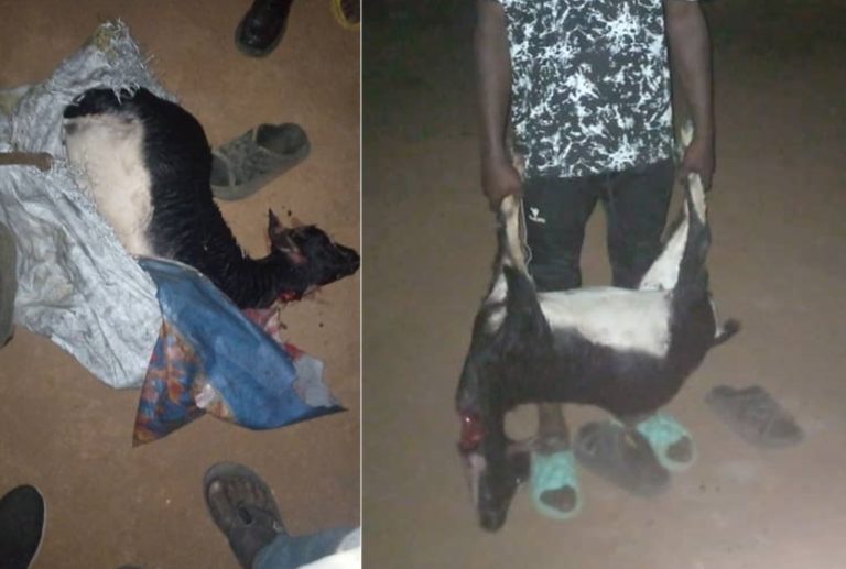 Nyagatare: Yafatanywe ihene yibye arayica, ayishakira umuguzi