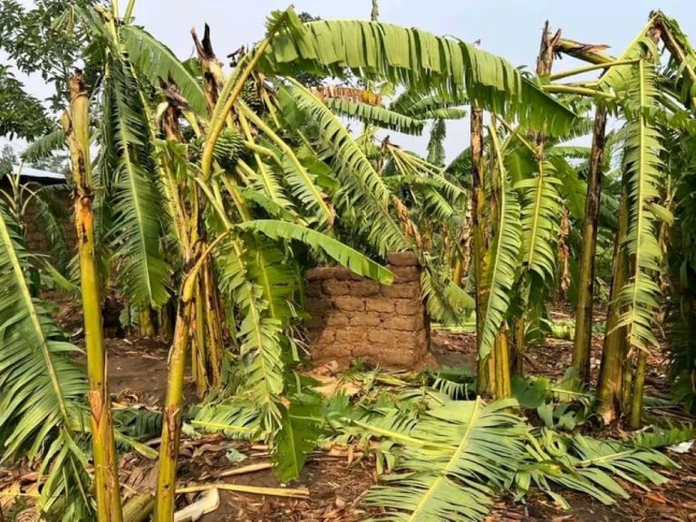 Meteo Rwanda yatanze imbuzi ku muyaga mwinshi uteganyijwe