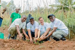 Ngororero na Rutsiro hazaterwa ibiti miliyoni 6 mu guhangana n’imihindagurikire y’ibihe