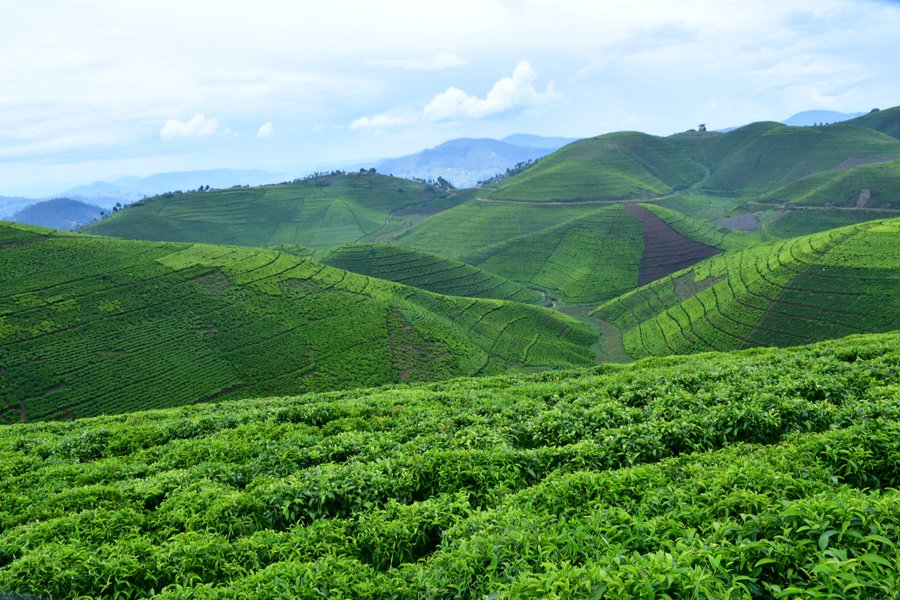U Rwanda rwohereje mu mahanga ibifite agaciro k’amadolari 19,514.881