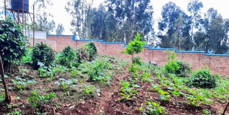 Gisagara: Abanyeshuri bishimiye inyunganizi ingana n’ibihumbi 900 ku igaburo
