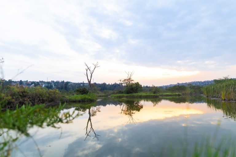 Gushyira ubusitani ahahoze ibishanga bizagabanya ibiza – Umujyi wa Kigali