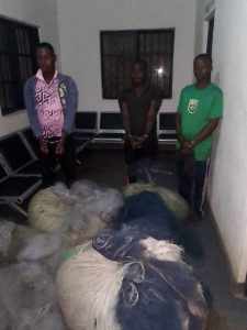 Rutsiro: Ba rushimusi bateza umutekano muke mu kiyaga cya Kivu bahangayikishije abarobyi