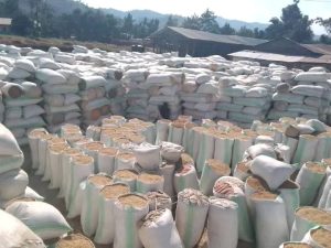 Rusizi: Ishimwe ry’abahinzi b’umuceri barenganuwe na Perezida Kagame