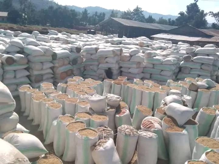 Rusizi: Ishimwe ry’abahinzi b’umuceri barenganuwe na Perezida Kagame